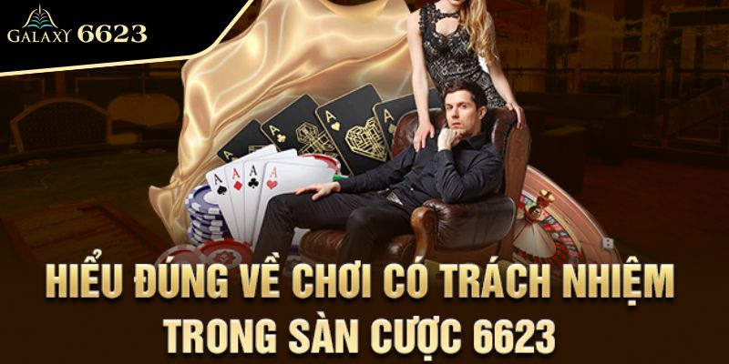 Chính sách bảo mật 6623 và trách nhiệm của người chơi